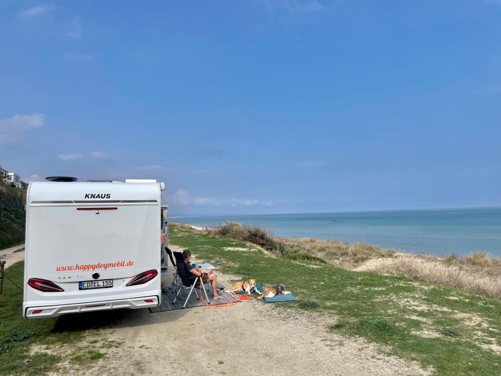 happydogmobil am Strand